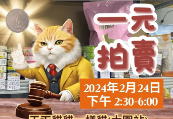 元宵天貓拍賣會